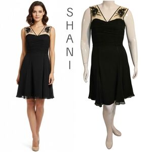 Shani SHANI Collection 100% Silk Chiffon Luxury Silk Size 10 LBD